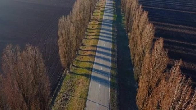空中无人机视图: 空旷的乡村阳光路。春天