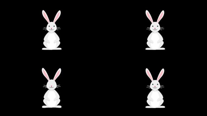 美丽可爱快乐的复活节兔子，跳跃兔子阿尔法频道