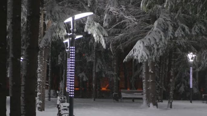 夜冬森林led灯闪亮，下雪了，新年和圣诞节即将到来。