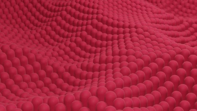 最小的波浪形运动中的粉色3d圆形。运动图形无缝循环动画