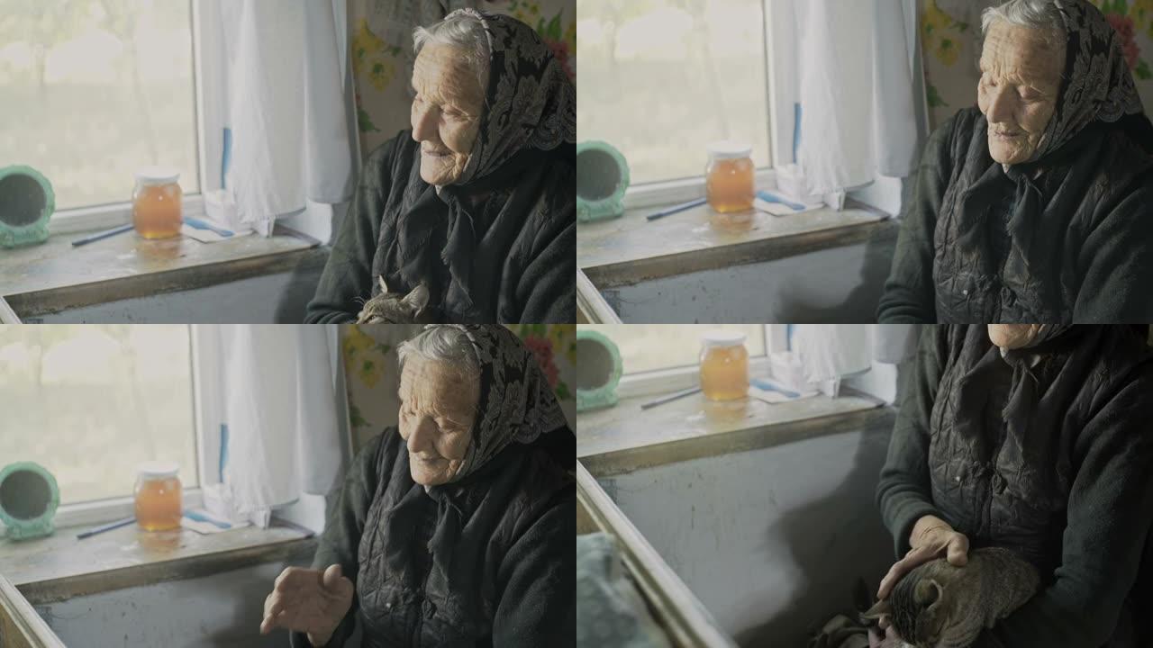 穿着黑色方巾的祖母坐在窗边，抱着一只灰色的猫在你的腿上