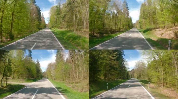 春天在森林路上开车