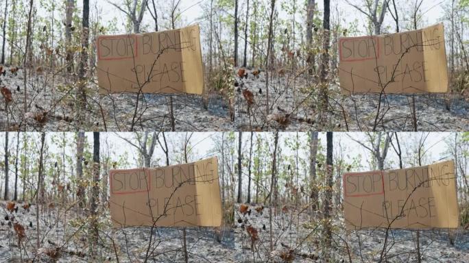 在燃烧的森林和消防员扑灭大火的区域，对纸板横幅进行了保守判决。人类对自然的责任和保护。世界环境日。