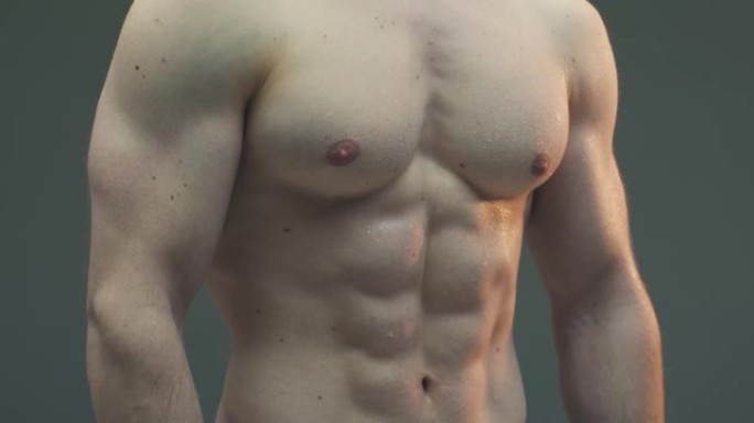 近距离视频的肌肉男子躯干在灰色工作室的背景。37、健身理念，健美，健康生活方式