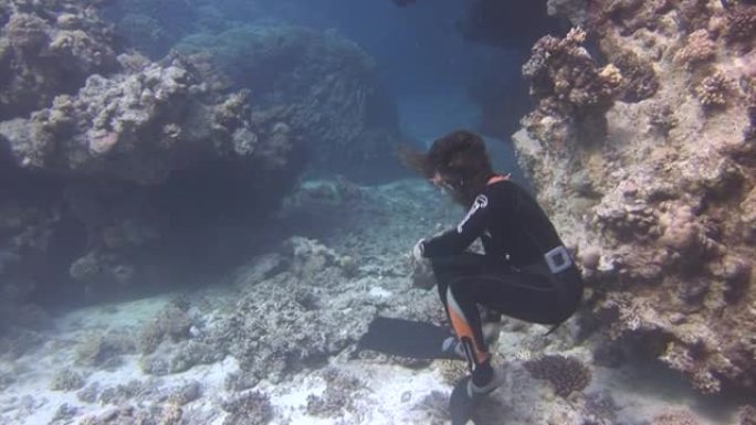 水下模型自由潜水员在红海干净透明的蓝色水中游泳。
