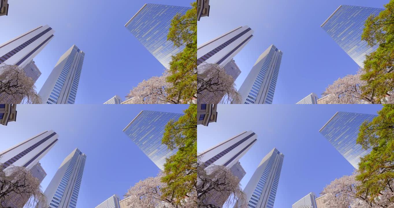 城市盛开的樱花仰拍高楼大厦商圈