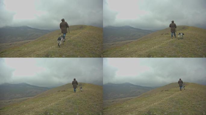 一个胖女人带着狗用北欧手杖在山顶上行走。从后面看。