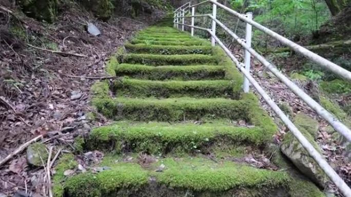 爬上遥远、长满苔藓的旧楼梯