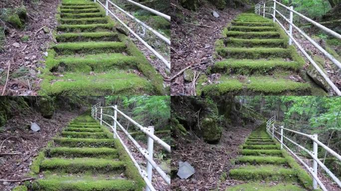 爬上遥远、长满苔藓的旧楼梯
