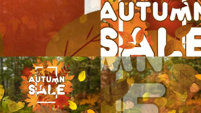 秋叶和森林上白色字母的秋季销售文本动画