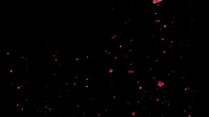 红玫瑰花瓣翱翔粒子运动图形
