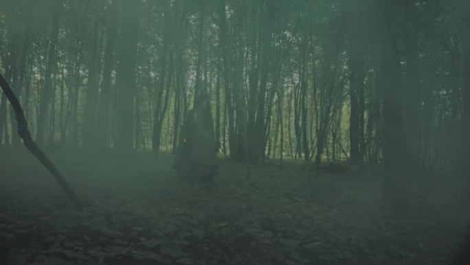 迷雾森林中的精彩场景 -- 带着灯笼在森林里游荡的女孩