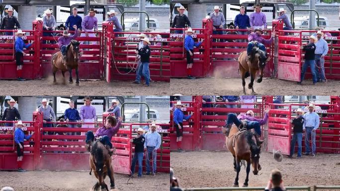 在犹他州牛仔竞技比赛中，一名美国男子骑着一辆野马的视频
