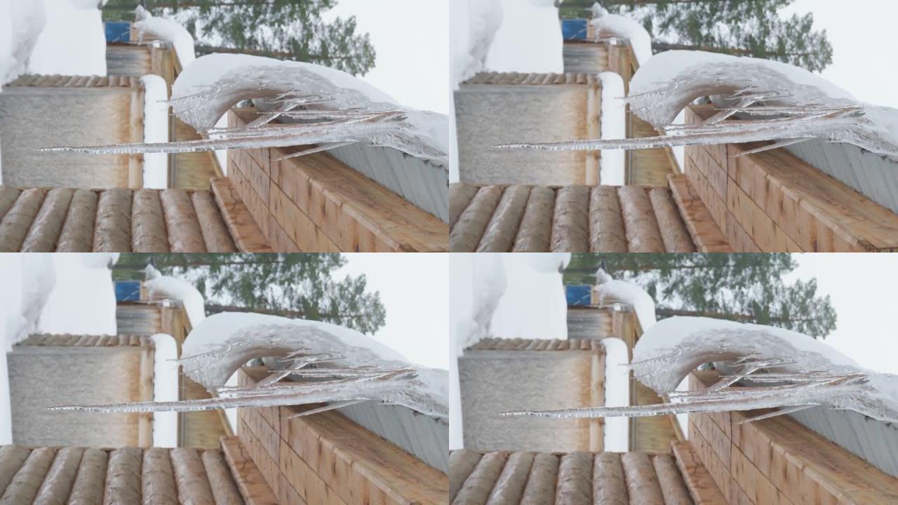 融化的冰柱，挂在屋顶上的冰柱，春天的水滴。春天变暖。垂直视频