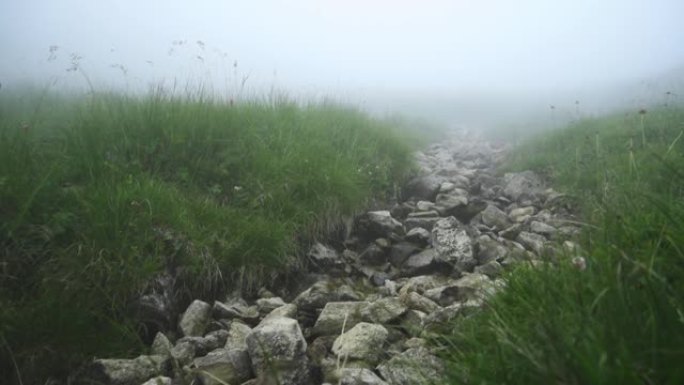 石头下的山溪床。雾中的山口。俄罗斯高加索。