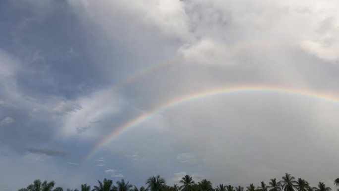 彩虹出现在棕榈树森林上空的雨云中消失