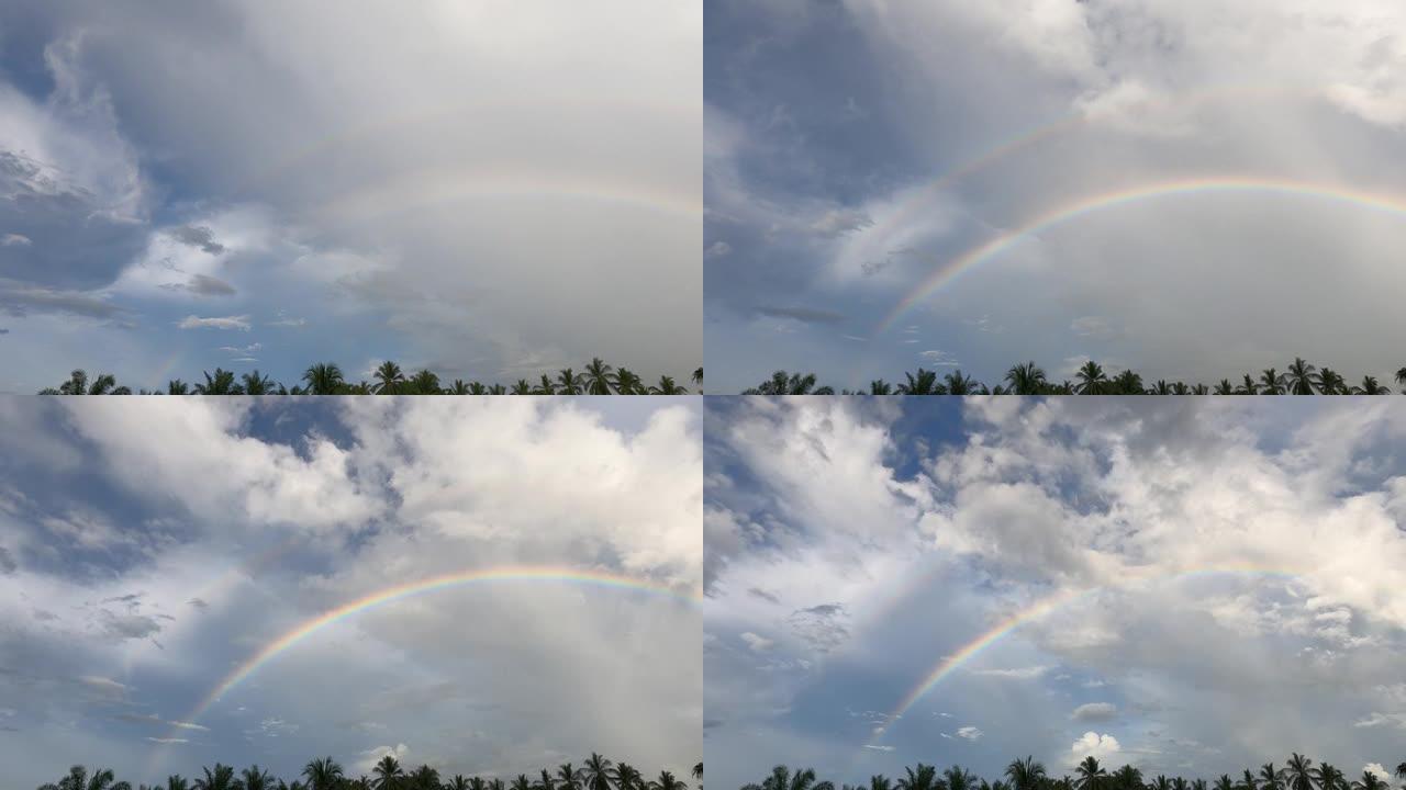 彩虹出现在棕榈树森林上空的雨云中消失