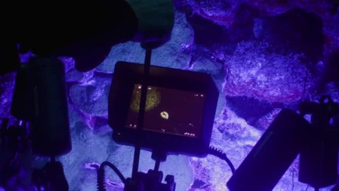 专业潜水员，水下摄影师在库拉索岛加勒比海珊瑚礁的紫外线下夜间拍摄