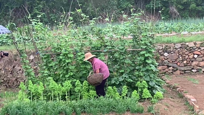 实拍乡村生活