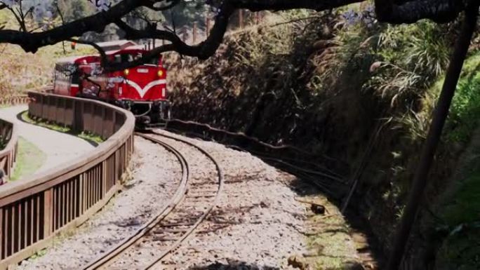 阿里山春光明媚火车沿途风景交通车轨