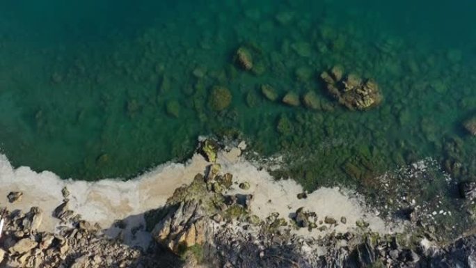 悬崖附近的海洋霉菌威胁着海洋生物