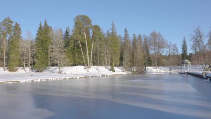 森林中冻湖的景观
