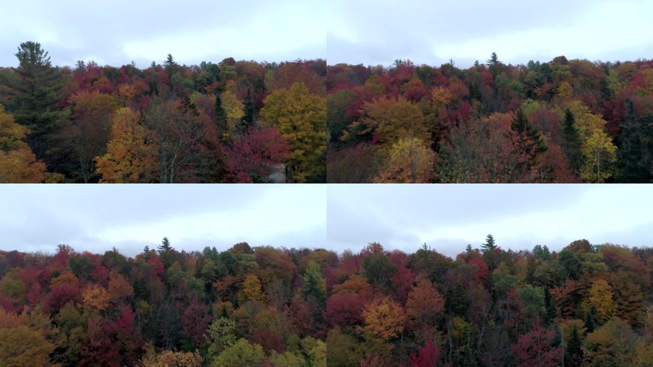 佛蒙特州秋天的空中无人机脱脂树梢