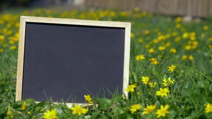 春天黄花草地上的小黑板