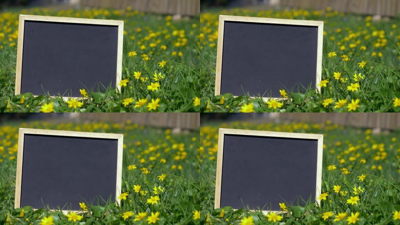 春天黄花草地上的小黑板