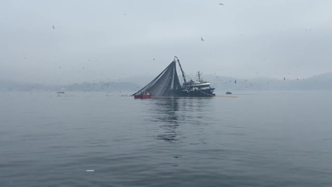 渔夫船上有一个巨大的渔网，清晨在薄雾中从博斯普鲁斯海峡收集鱼。灰色的海水和多云的天空。海鸟在船上方飞
