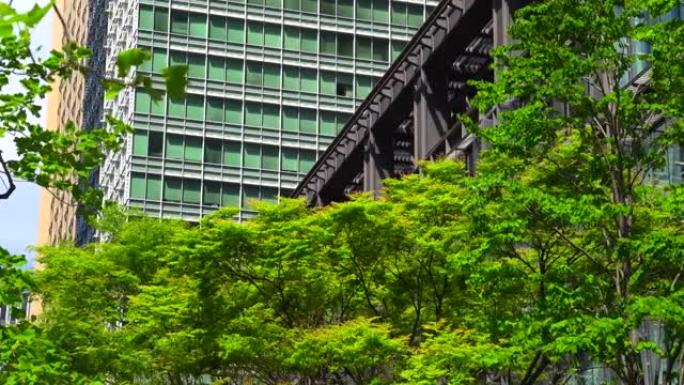 现代办公楼和树木写字楼高楼大厦绿植