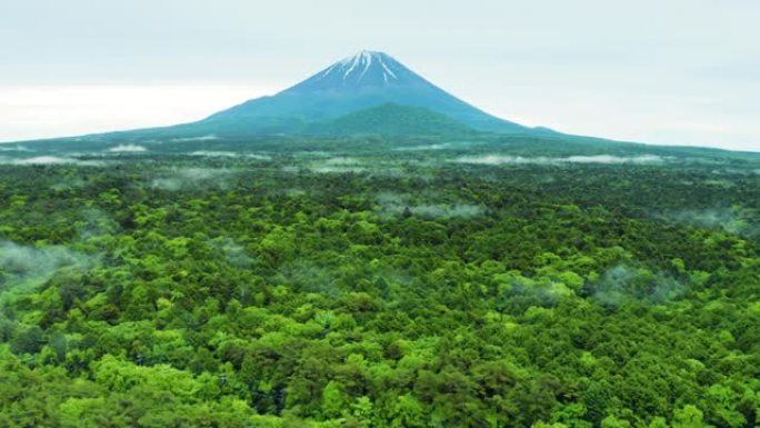 富士山 & 青木原久海