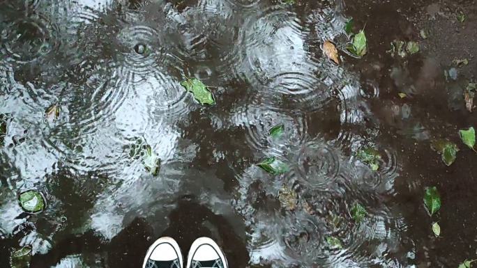 雨滴 水洼 水纹 下雨天 落叶