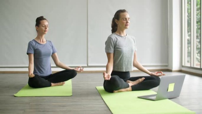 两名年轻女子在家练习网上锻炼瑜伽