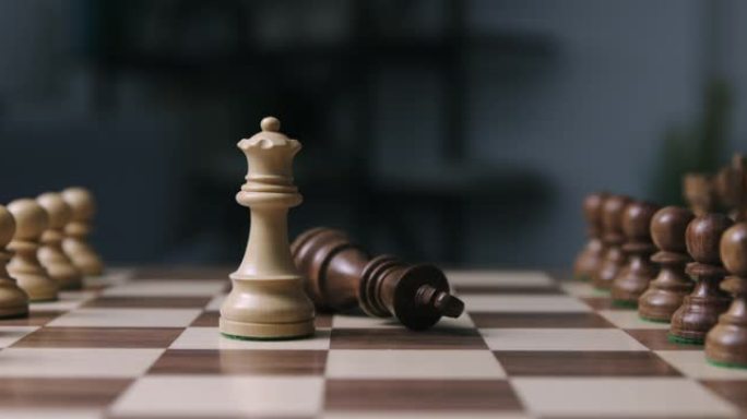 国际象棋游戏: 黑王被选中