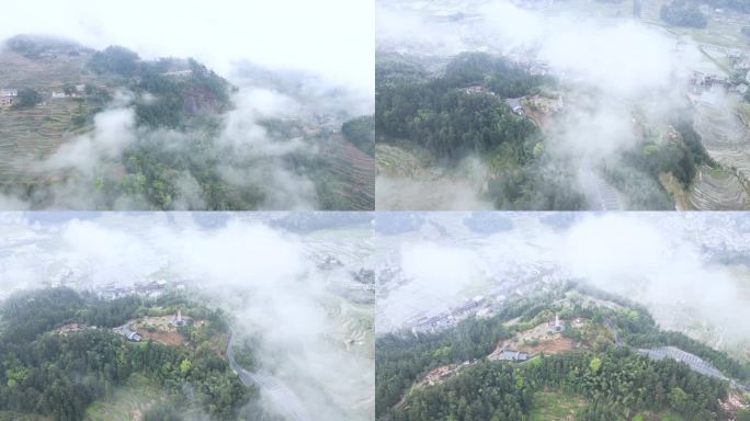 农村山区云海春景