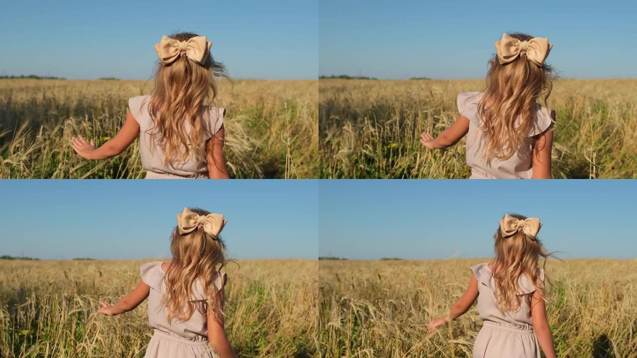 穿着裙子的小可爱女孩小孩穿过金色麦田草地夏季自然。女孩的手触摸麦穗。幸福家庭童年梦想收获美丽概念。4