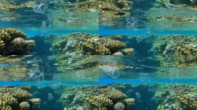 塑料垃圾的特写镜头在蓝色的水中游动，sinrays的彩色热带鱼。水下射击。海洋的塑料污染。红海的大规
