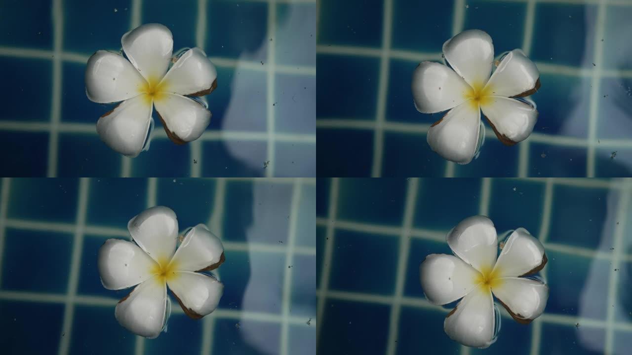 漂浮的花