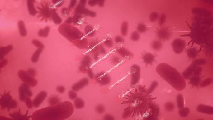 dna菌株在数字细胞图标上旋转的动画