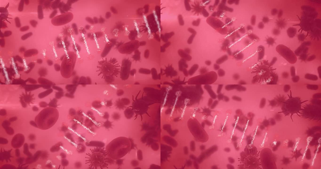 dna菌株在数字细胞图标上旋转的动画