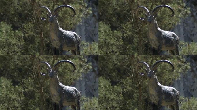 西班牙阿尔考辛塞拉特耶达的比利牛斯伊比利亚山羊雕像