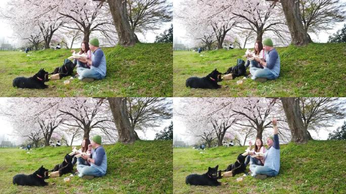 夫妇带着狗在樱花树下吃汉堡包