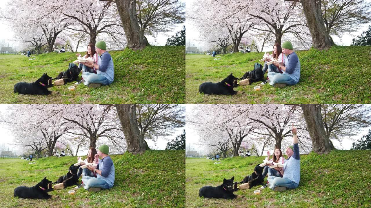 夫妇带着狗在樱花树下吃汉堡包