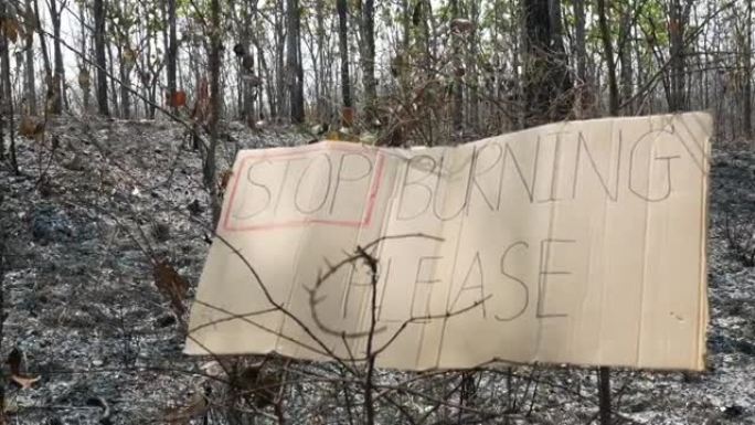 在燃烧的森林和消防员扑灭大火的区域，对纸板横幅进行了保守判决。人类对自然的责任和保护。世界环境日。