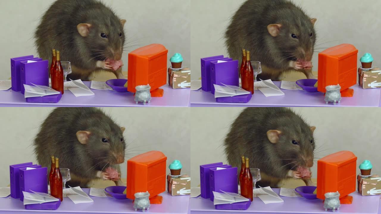 老鼠在玩偶办公室吃午饭