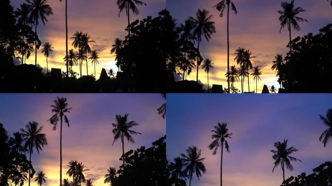 美丽的粉彩彩色日落热带天空椰树剪影