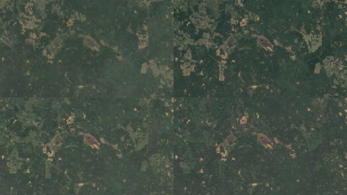 卫星1984年和2020造成的延时毁林。