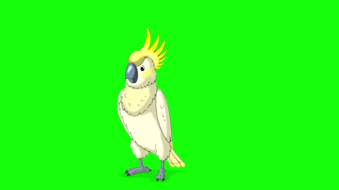 黄色凤头鹦鹉