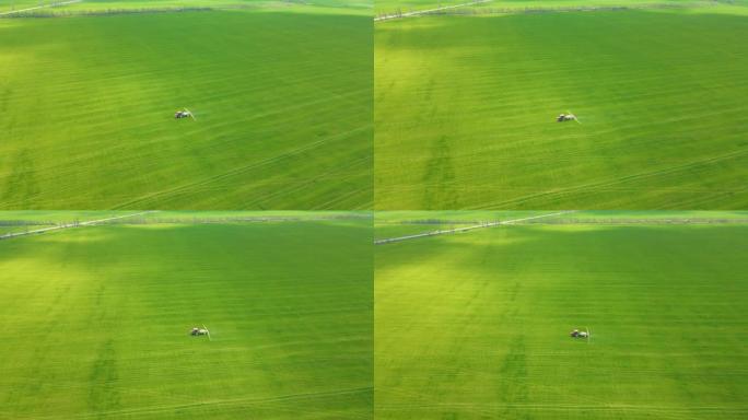 农民用农作物喷洒麦田的空中无人机射击